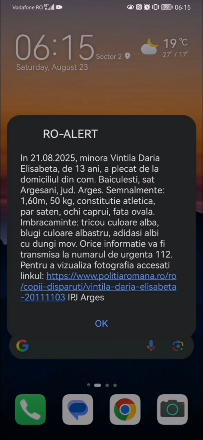 Gute Arbeit, rumänische Polizei