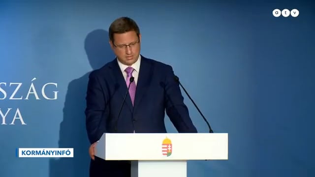 "Ich verstehe nicht, wie die Regierung spricht, wenn der Präsident der Republik ... eine andere verfassungsmäßige Institution ist. Wo ist die Verbindung?"
