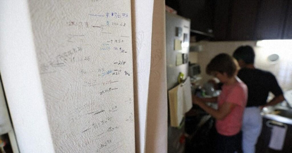 Alleinerziehende Mutter von 3 in Tokio kämpft darum, mit Survivors Rente, Einsparungen auszukommen