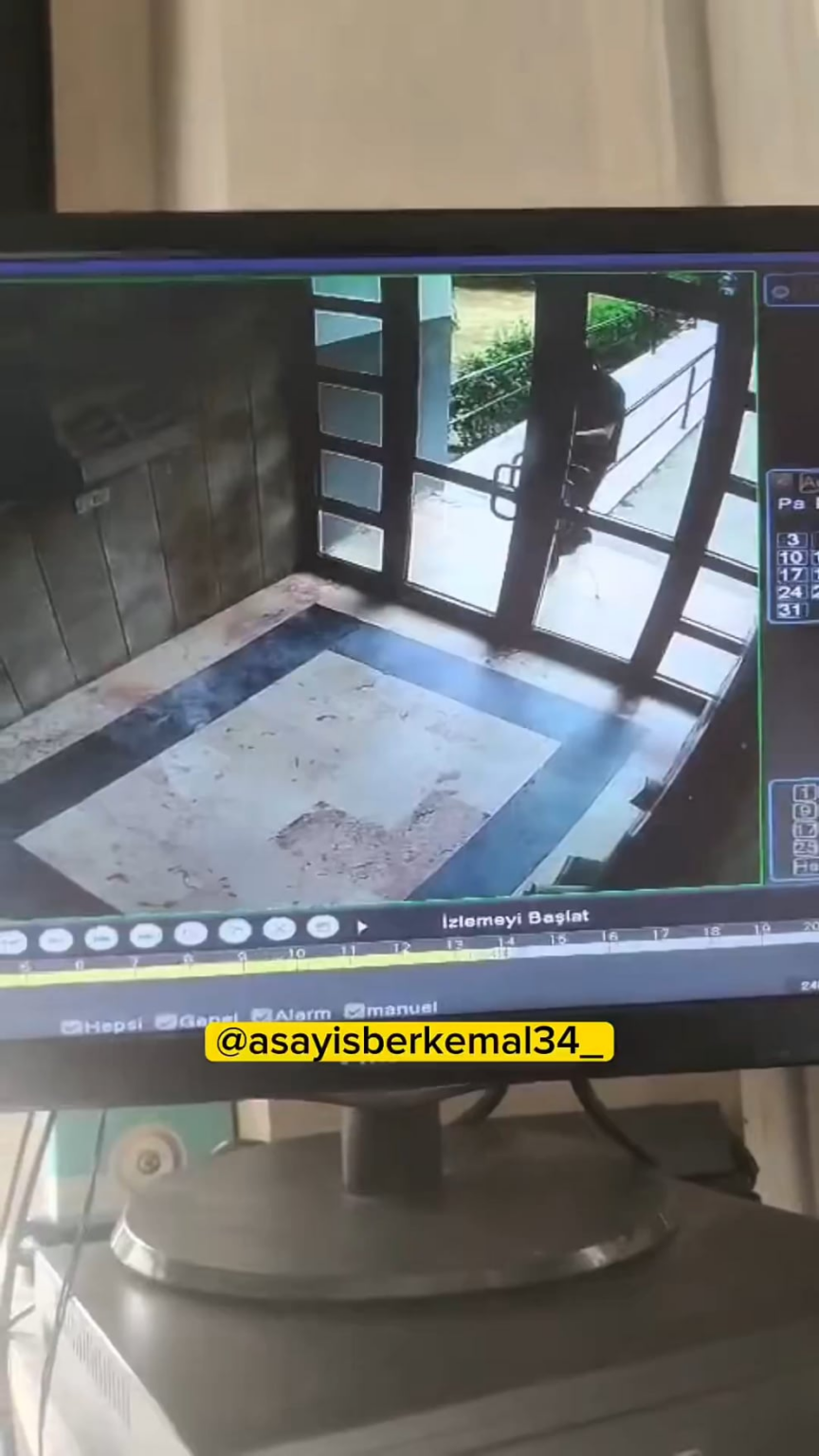 Eine Person in Başakşehir, Istanbul, tötete die Katze im Eingang der Wohnung, indem er den Schwanz des Schwanzes hielt und trat und trat.