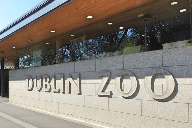 Paar, das wegen seiner Rolle in 511.000 € verurteilt wurde, betrogen aus dem Dubliner Zoo