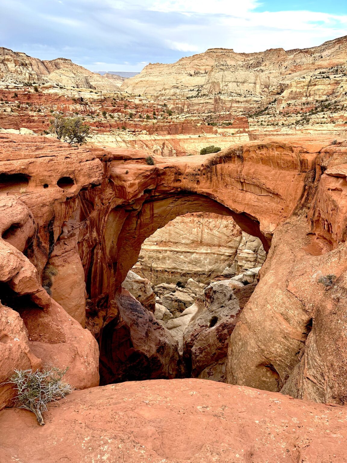 Cassidy Arch: Capitol Reef National Park
