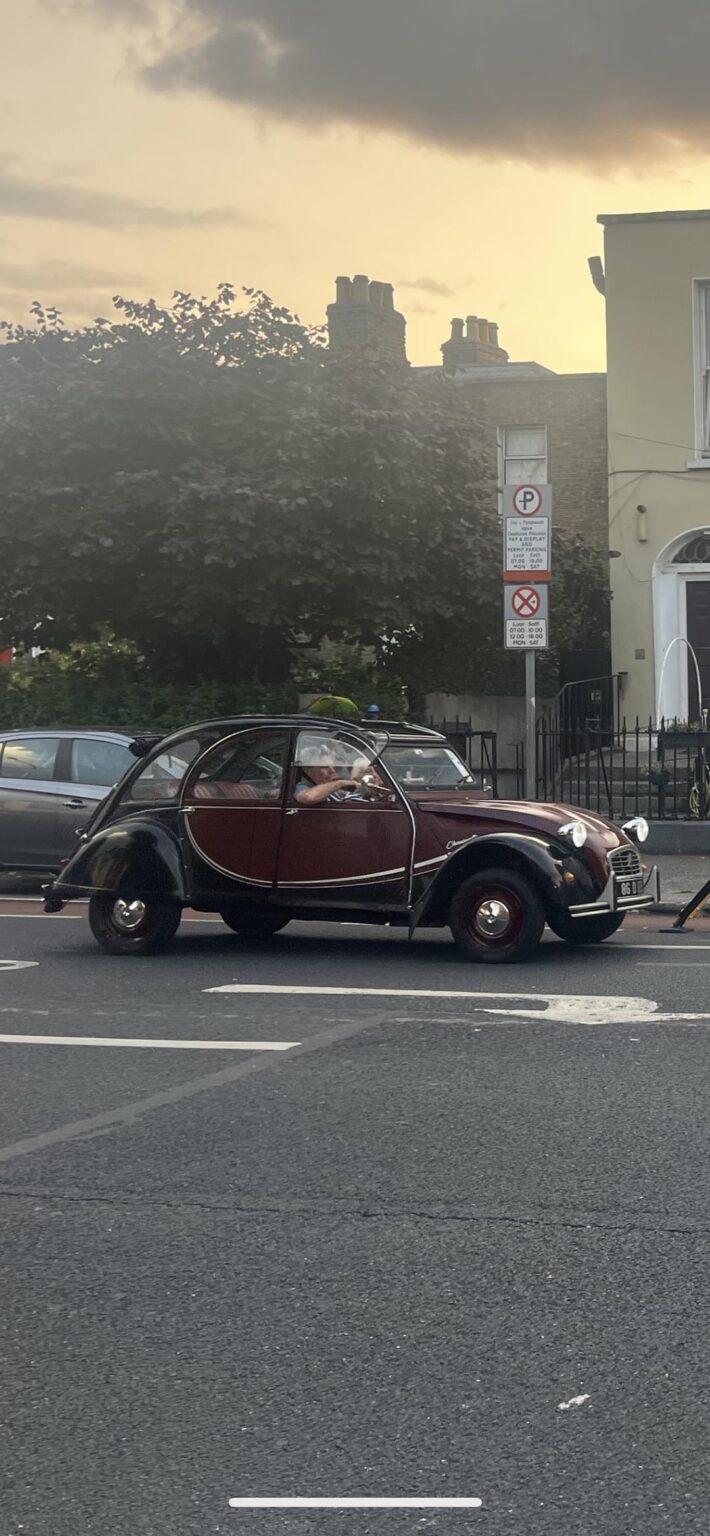 Dublin -Papagei Mann