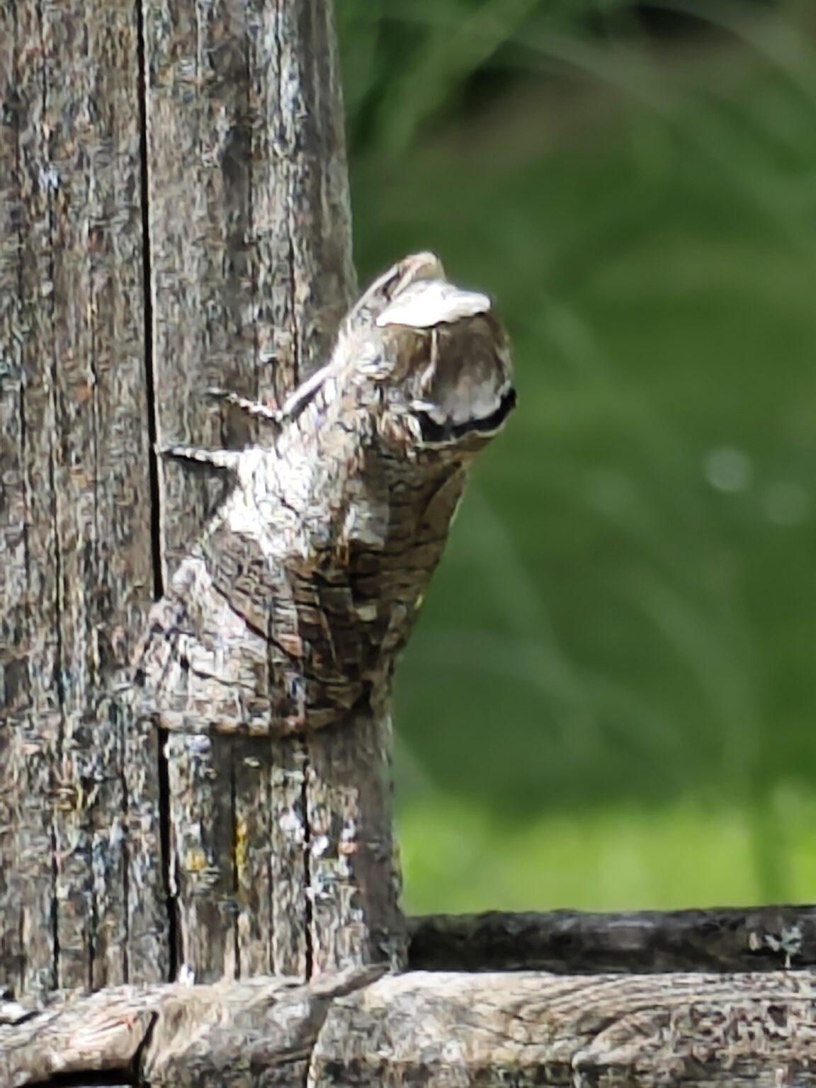 Was ist das?