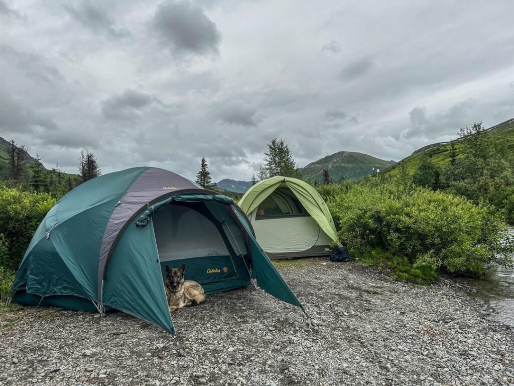 Es war regnerisch, aber es ist schwer zu beschweren, wenn Sie eine Camp -Site wie diese finden.