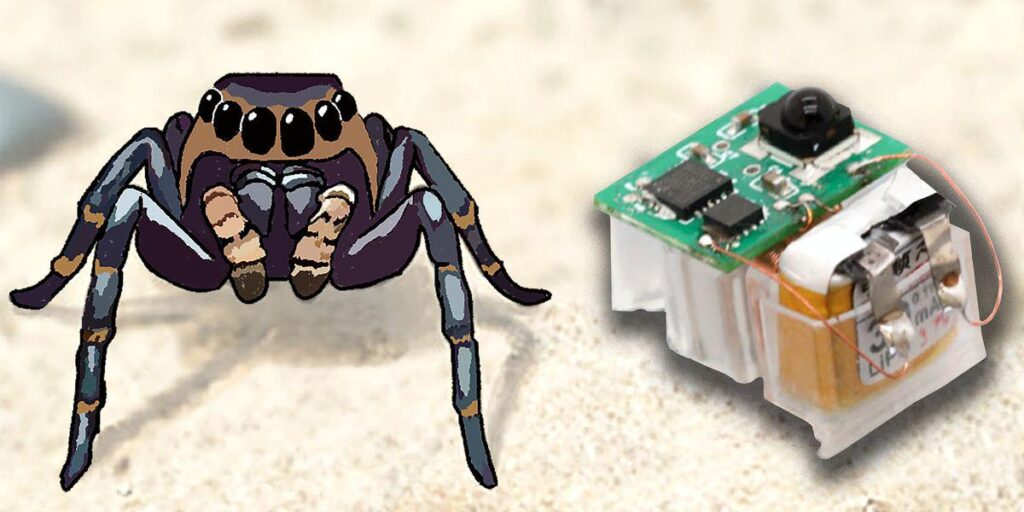 Jetzt haben Forscher ein muskelinspiriertes elastoelektromagnetisches System entwickelt, um „weiche“ Roboter in Insektengröße aus flexiblen Materialien zu bauen.