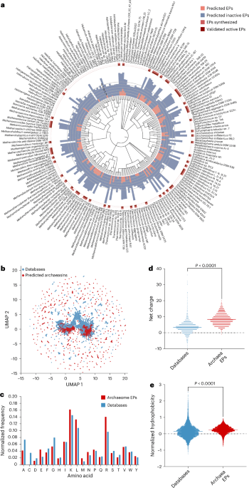Deep Learning zeigt Antibiotika im archaalen Proteom