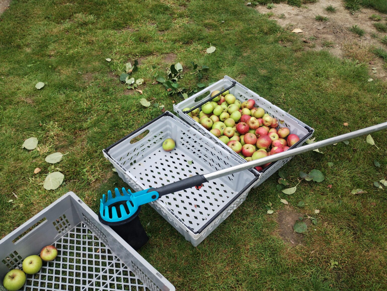 Macht Apfelsaft Macht Apfelsaft