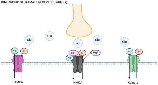 Glutamat ist an der Migräne -Pathophysiologie beteiligt. NMDA-, AMPA- und Kainate -Antagonisten sowie Ansätze, die metabotrope Glutamatrezeptoren (MGLU) abzielen, werden auf das Potenzial zur Reduzierung von Angriffen und Symptomen bewertet.