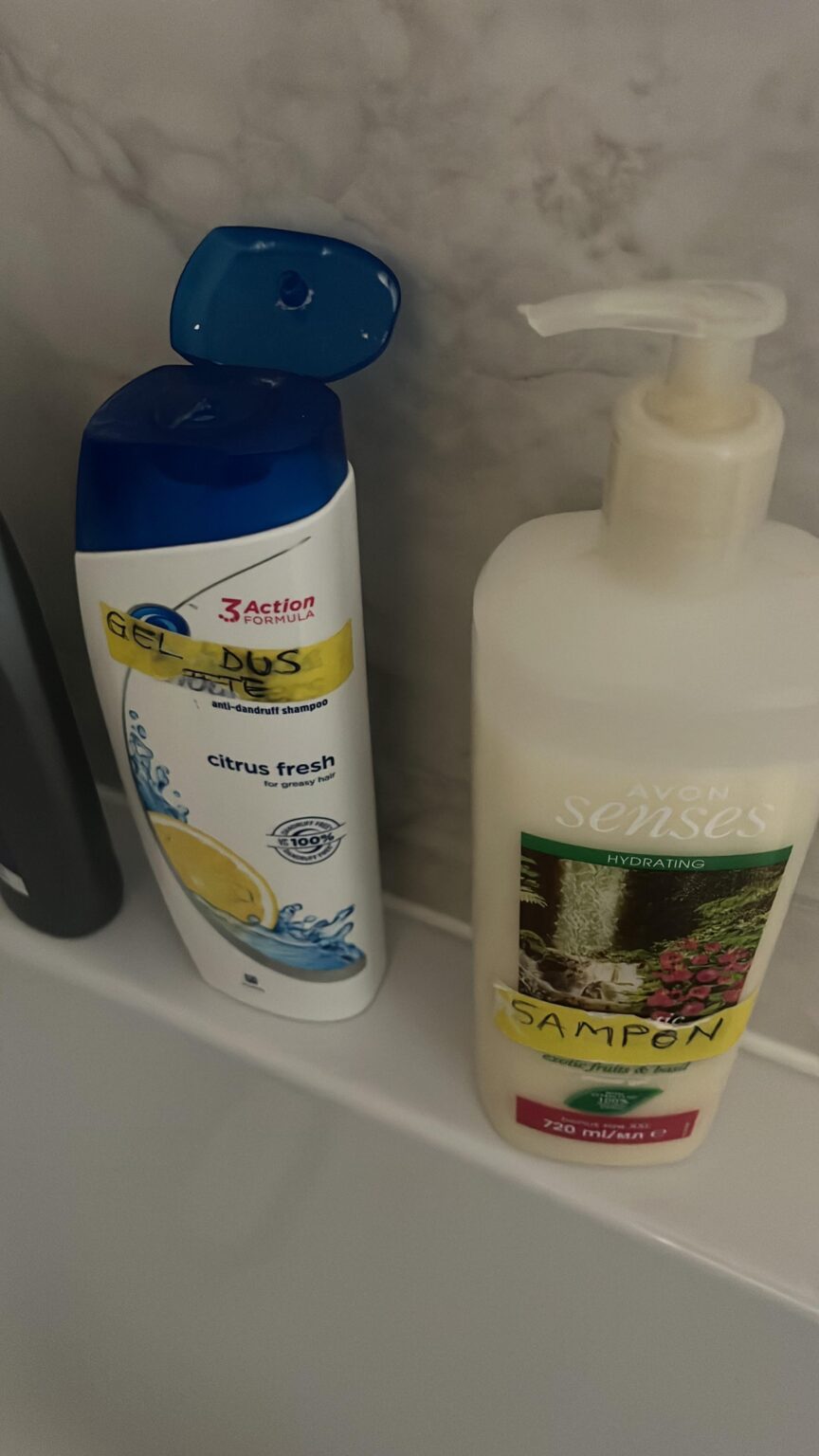 Meine Schwiegermutter, meine Damen und meine Herren!