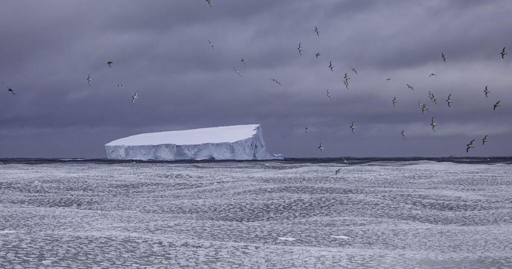 Neue Studie bestätigt in der Antarktis „abrupte Veränderungen“. Zu diesen abrupten Veränderungen gehören ein rasanter Rückgang der Se-Ice-Abdeckung, die Schwächung der Eisschild- und Eisschelfstabilität sowie die Bevölkerungsrückgang bei einigen marinen und terrestrischen Arten aufgrund des Verlusts von Lebensräumen. Neue Studie bestätigt in der Antarktis „abrupte Veränderungen“. Zu diesen abrupten Veränderungen gehören ein rasanter Rückgang der Se-Ice-Abdeckung, die Schwächung der Eisschild- und Eisschelfstabilität sowie die Bevölkerungsrückgang bei einigen marinen und terrestrischen Arten aufgrund des Verlusts von Lebensräumen.
