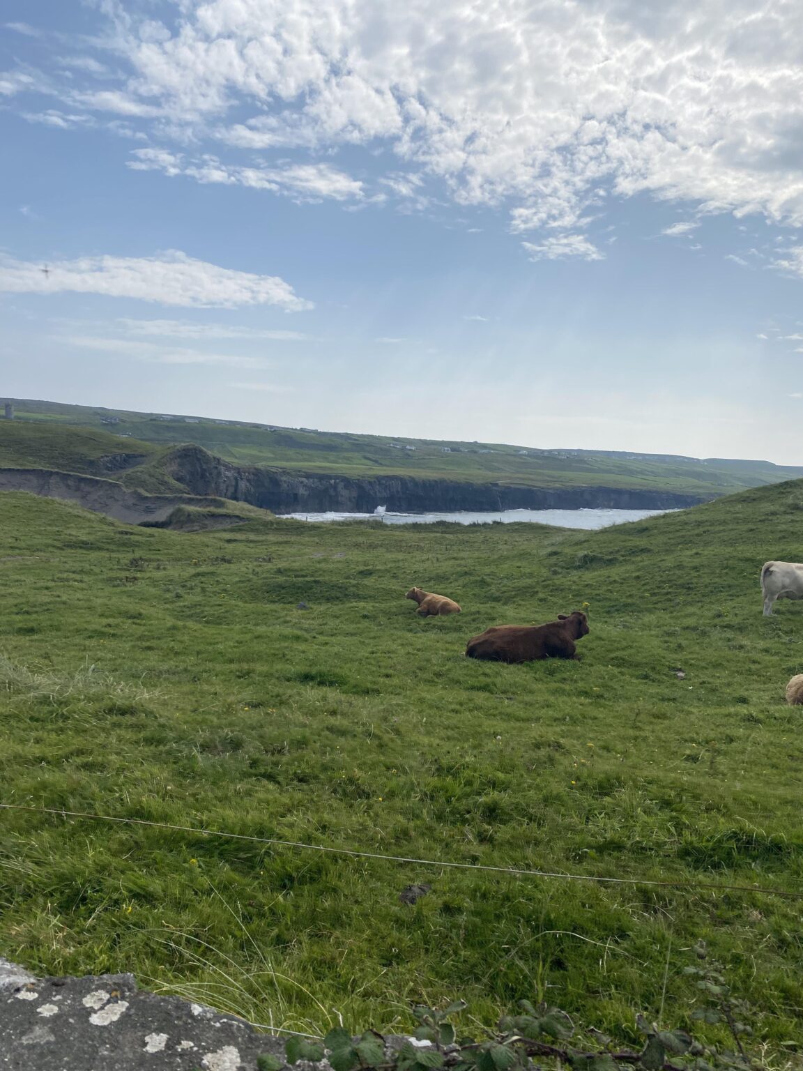 Irland 💚