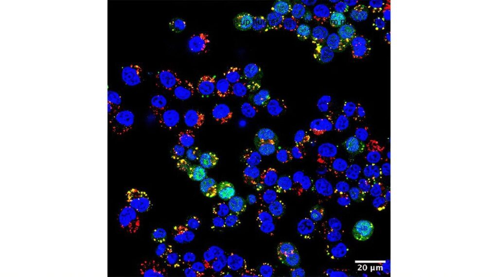 Nanopartikel, die sich bei Raumtemperatur selbst organisieren können