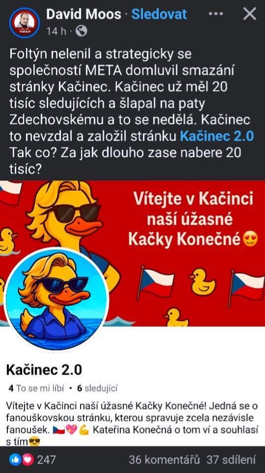 Ja, es ist die Regierung und nicht diejenigen, die dort eine Vielzahl von hasserfüllten Rhetorik kommentieren