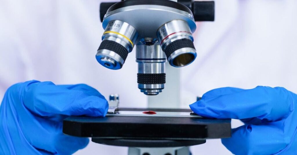 Betrügerische wissenschaftliche Arbeiten nehmen rasch zu, studiert die Studienfest