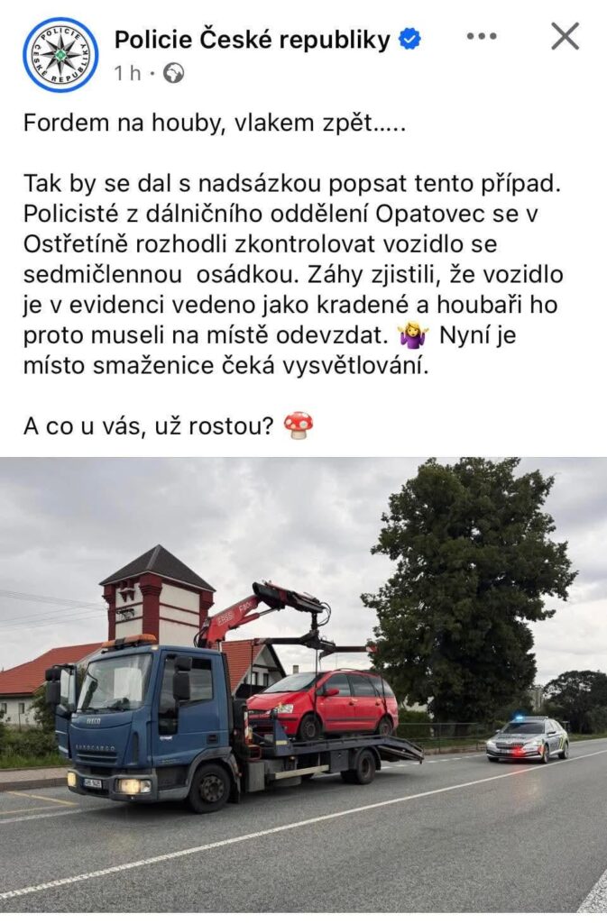 Haben Sie jemals ein Auto auf Pilzen oder einer anderen Reise versagt?