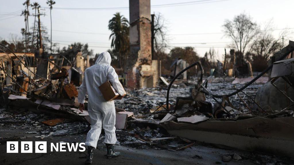 Mehr als 400 indirekte Todesfälle, die mit LA -Waldbränden verbunden sind, schlägt die Studie vor | Überschüssige Todesfälle auf die Waldbrände von Los Angeles vom 5. Januar bis 1. Februar 2025