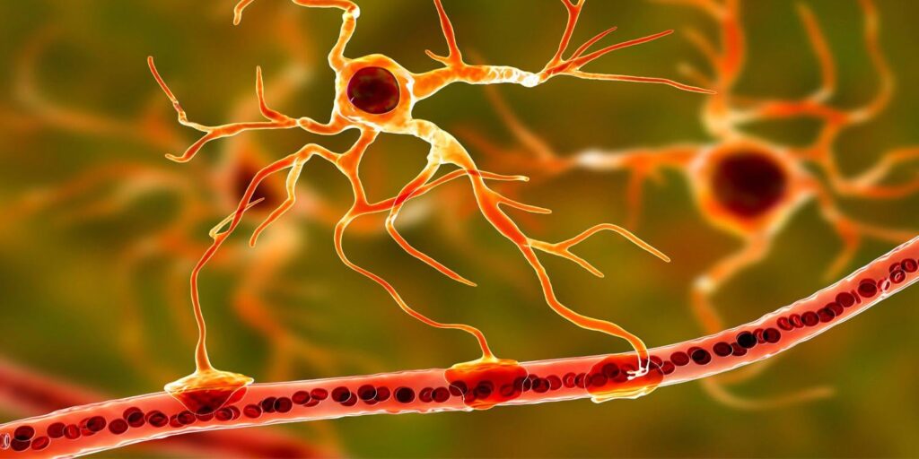 Die chronische Exposition gegenüber Mikroplastik beeinträchtigt die Blut-Hirn-Schranke, induziert oxidativen Stress im Gehirn und schädigt Neuronen, findet eine neue Studie an Ratten. Diese Partikel sind jetzt in Ozeanen, Flüssen, Boden und sogar in der Luft weit verbreitet, was es schwer zu vermeiden macht. Die chronische Exposition gegenüber Mikroplastik beeinträchtigt die Blut-Hirn-Schranke, induziert oxidativen Stress im Gehirn und schädigt Neuronen, findet eine neue Studie an Ratten. Diese Partikel sind jetzt in Ozeanen, Flüssen, Boden und sogar in der Luft weit verbreitet, was es schwer zu vermeiden macht.