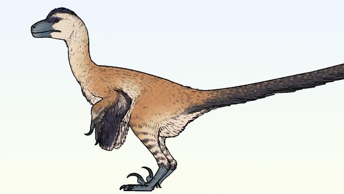 Der neue vogelartige Dinosaurier aus der Mongolei hatte extrem robuste Hände