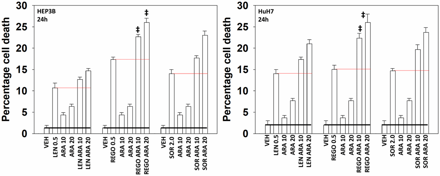 Der SCD1 -Inhibitor Aramchol interagiert mit Regorafenib, um GI -Tumorzellen in vitro und in vivo abzutöten