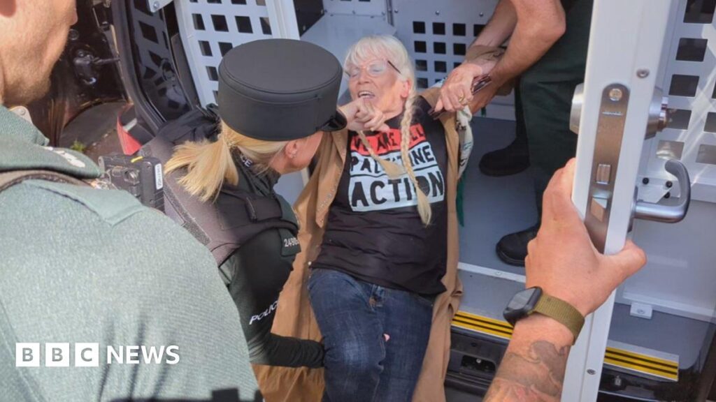 Frau, die Palästina-Action-T-Shirt trägt