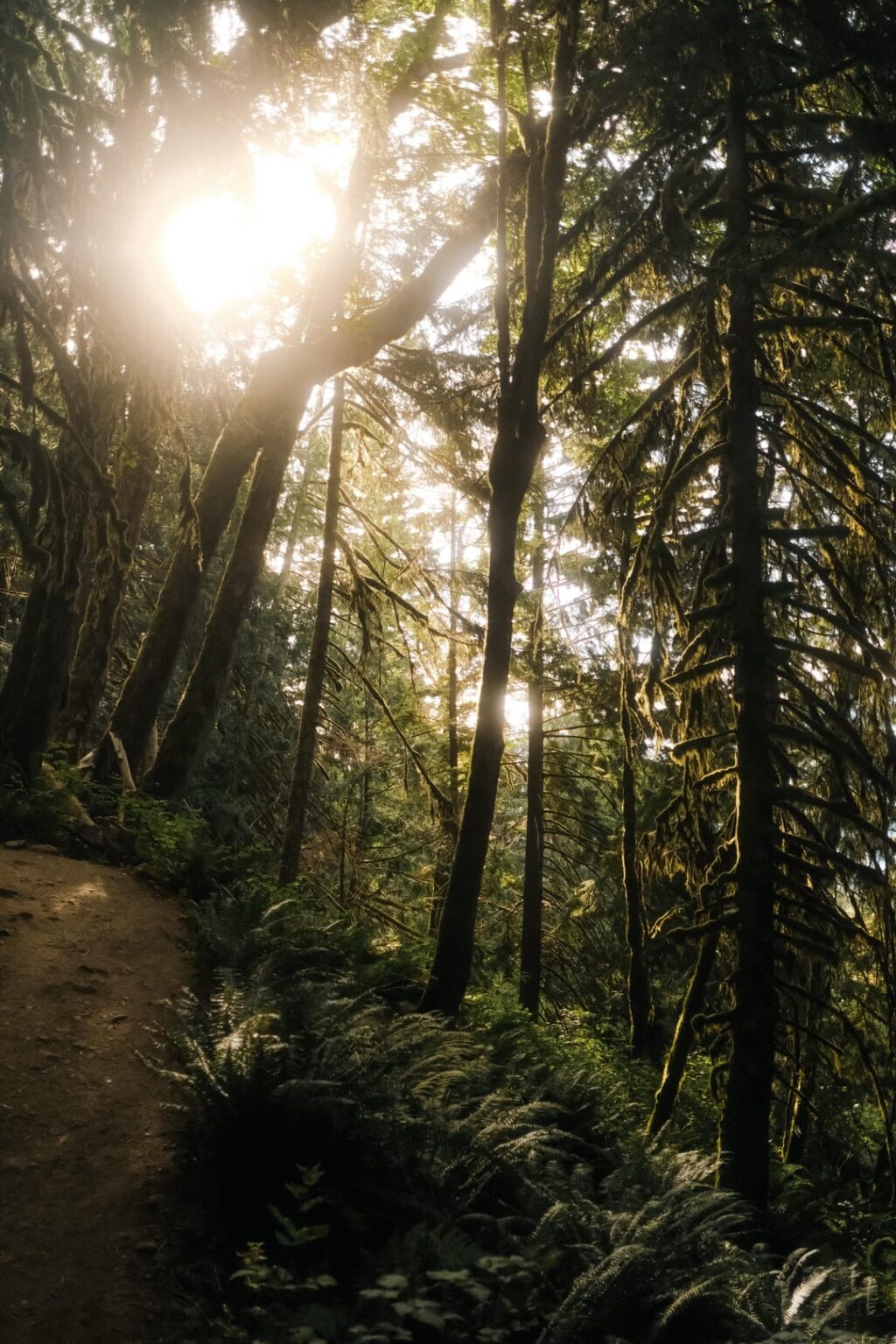 Schüsse vom Mount Si, Washington.
