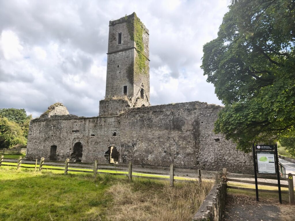 Moor Abbey - Tipperary