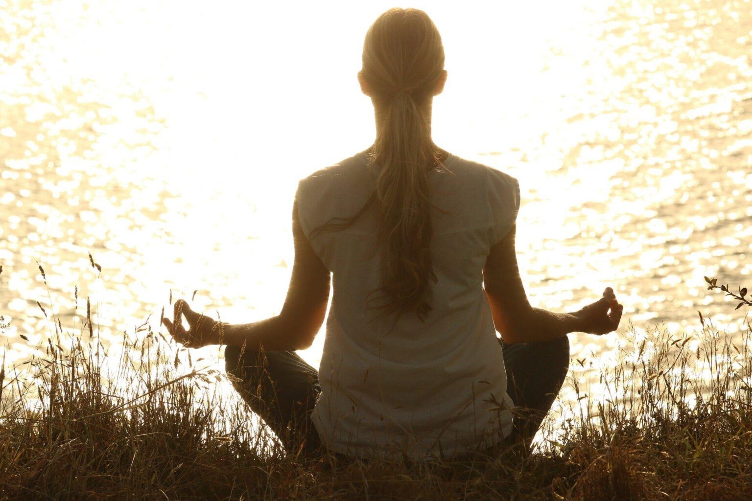 Die Meditations -App -Revolution ist hier und wird von der Wissenschaft unterstützt
