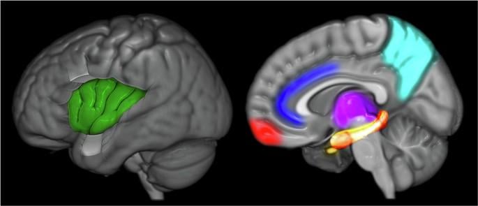 Pfadfinding: Eine neurodynamische Darstellung der Intuition