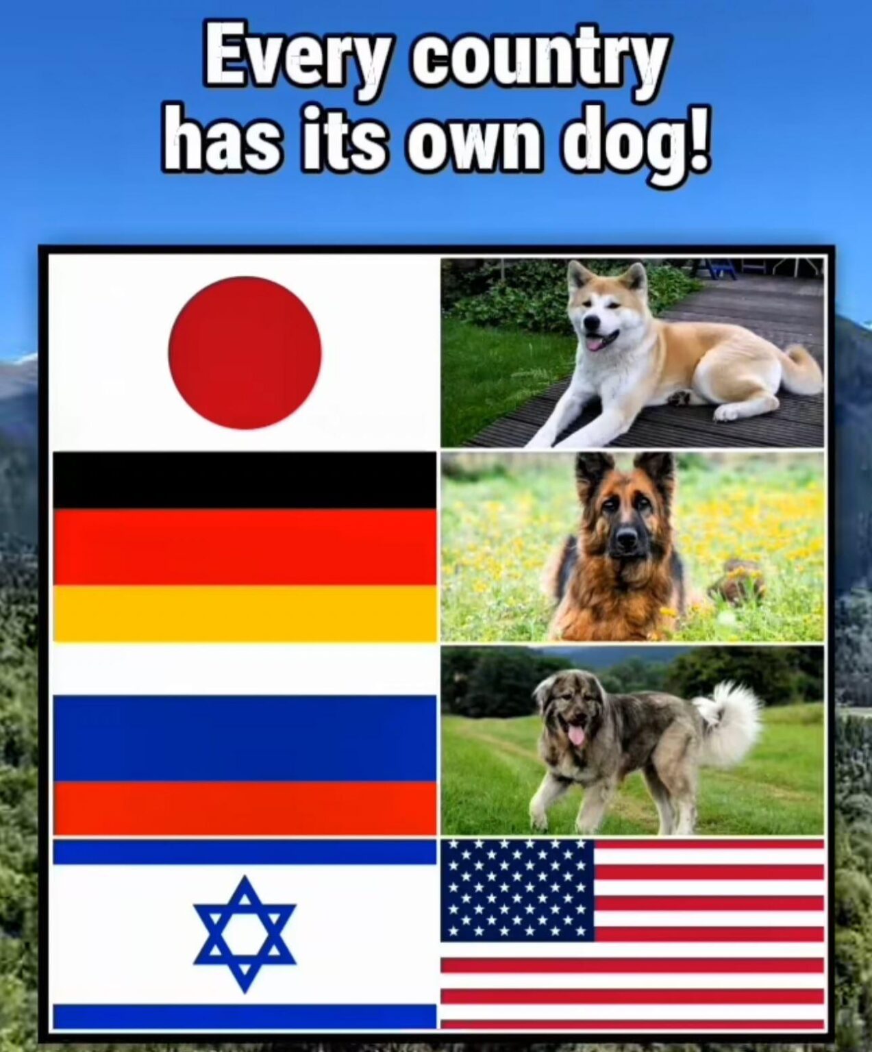 Woof, keine Boykotte erlaubt, Woof