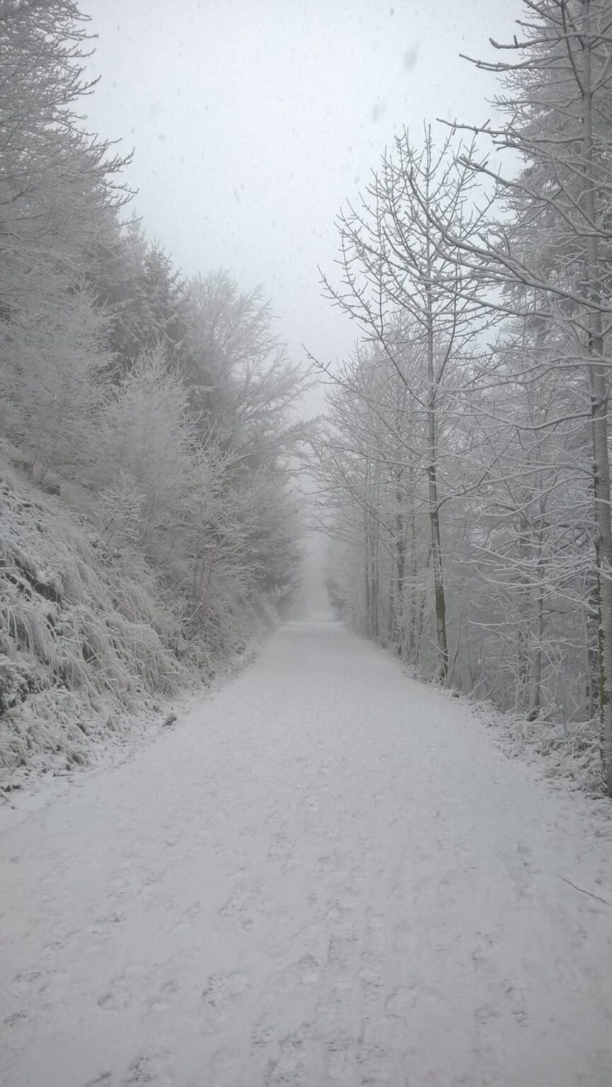Ich bin warm, also gehe ich durch die Fotos, um mich abzukühlen. Ich teile die Wärme für die ganze Hitze.