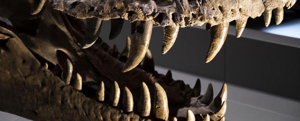 Wissenschaftler haben die atmosphärische Zusammensetzung der prähistorischen Luftdinosaurier rekonstruiert, indem sie ein Isotop von Sauerstoff in fossilisierten Dinosaurierzähnen untersucht haben