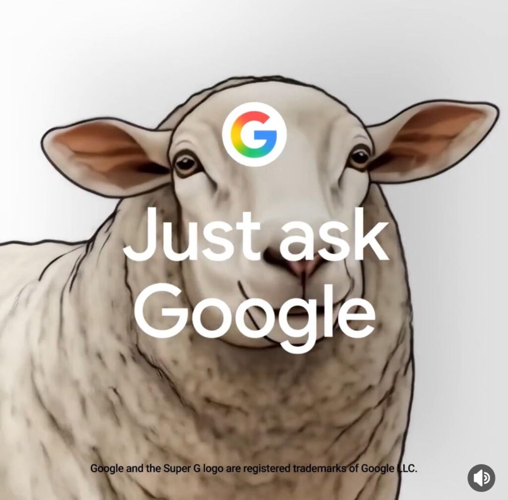 Google Sheep -Anzeige, sie lachen uns über uns