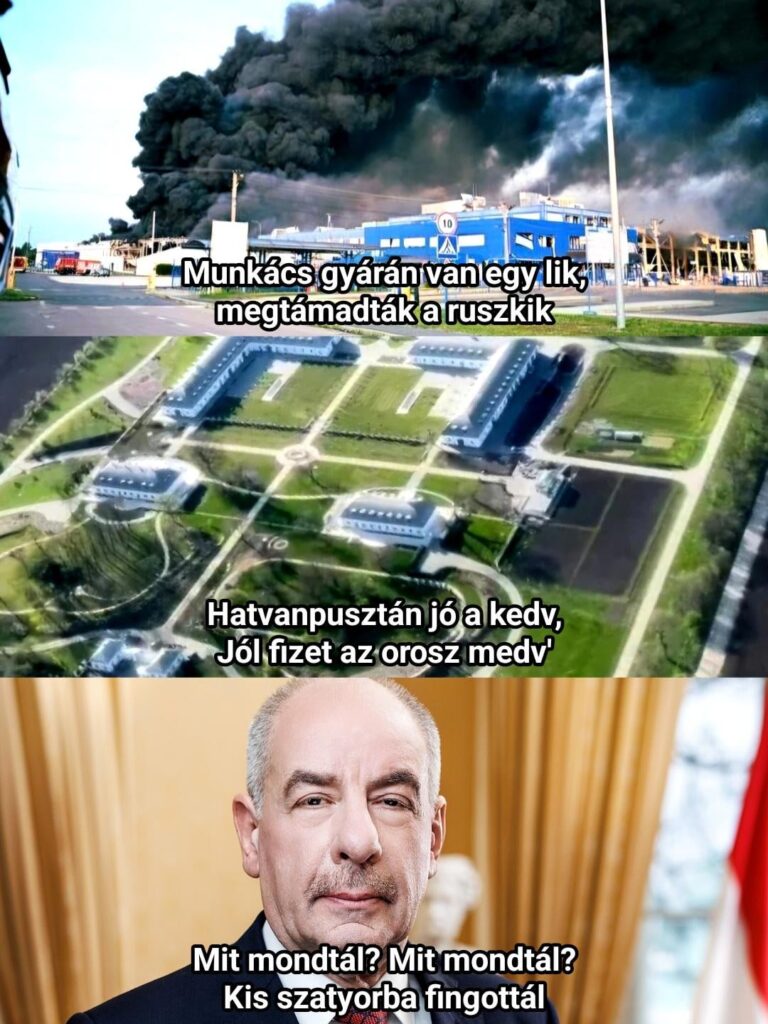 Musssy Tier, geh! Hier ist eine kurze Zeit, du kannst über meinen Fost lachen!