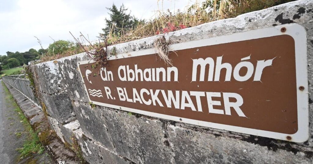 Angler empört, als frische Verschmutzung Cork's River Blackwater nach 50.000 Fischen getötet hat