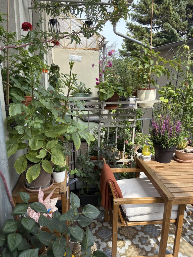 Mein heißgeliebter Balkongarten!