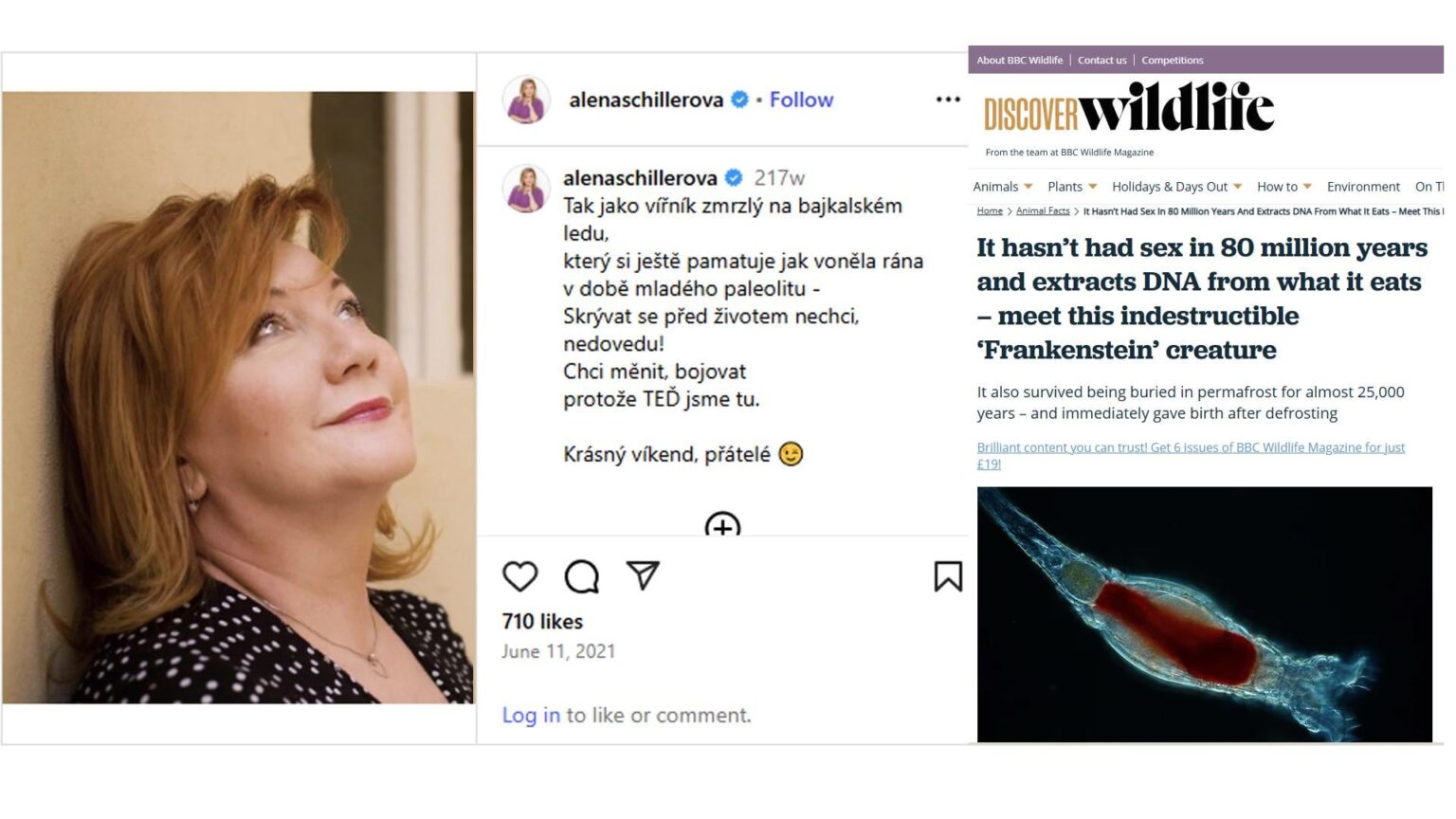 Alena hat einen Urlaub, also habe ich gute Nachrichten für sie - ihr Whirlpool von Prähistorik, die sie Gedichten wieder lebt ...