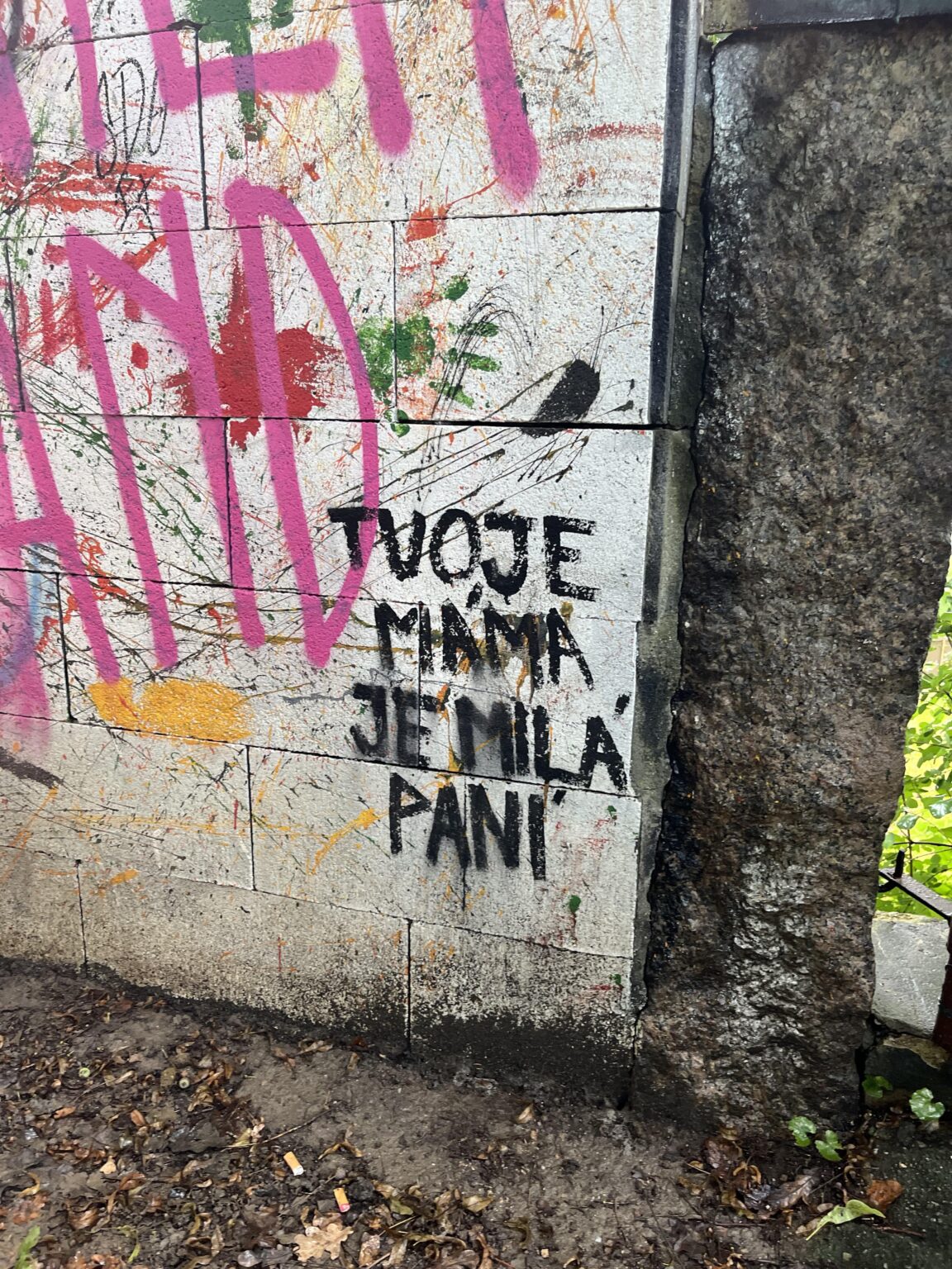 Rebell, aber anständig!