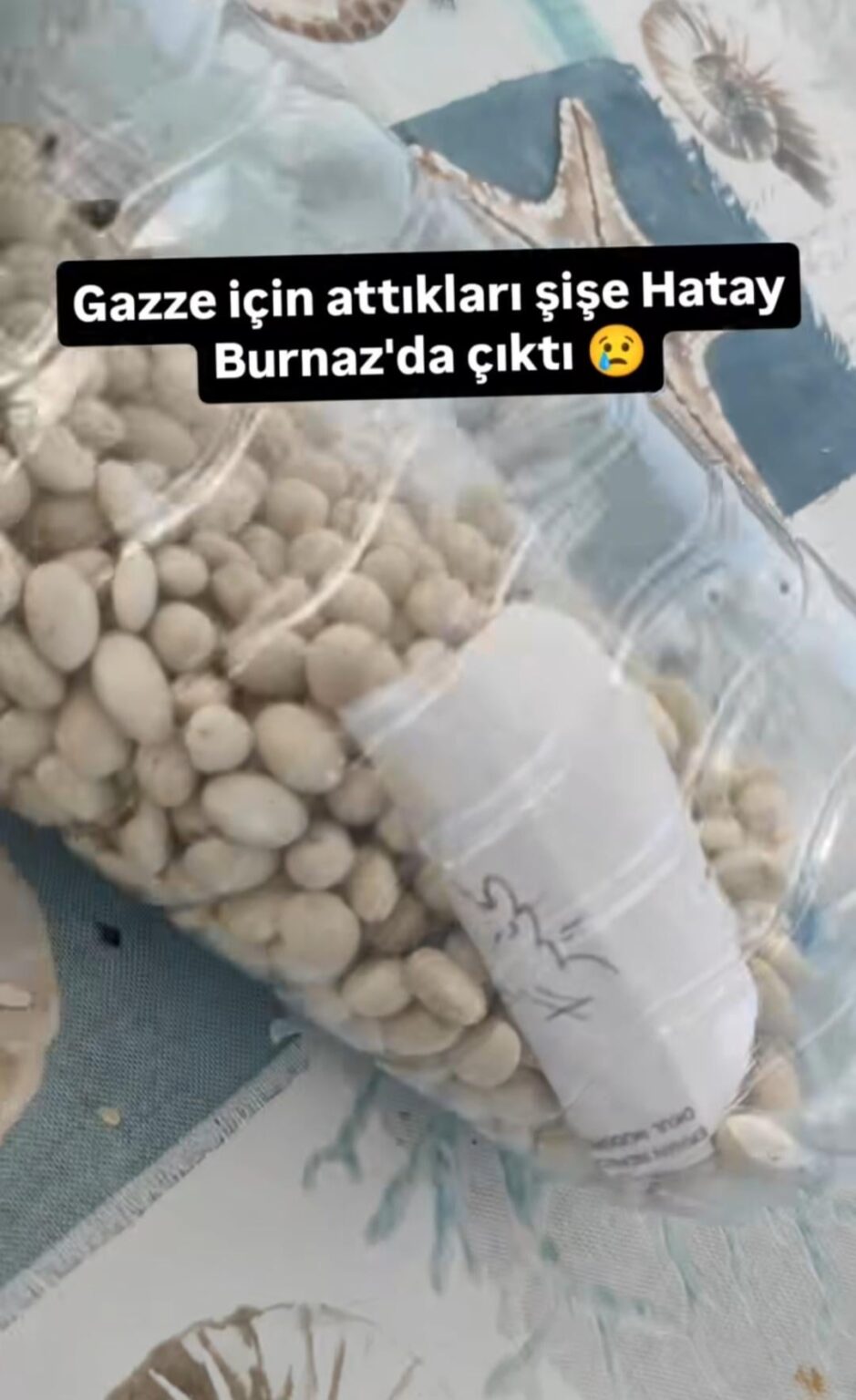 Getreideflaschen, die für Palästina ins Meer geworfen wurden