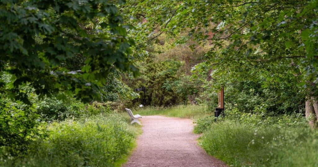 Die Zeit in der Natur zu verbringen, hilft den Menschen, zu identifizieren, was in ihrem Leben sinnvoll ist, und zeigt eine neue finnische Studie. Für junge Menschen bot die Natur einen wichtigen Ort für Einsamkeit, während ältere Erwachsene der Meinung waren, dass es wichtig war, Verbindungen zwischen den Generationen durch Zeit in der Natur zu stärken. Die Zeit in der Natur zu verbringen, hilft den Menschen, zu identifizieren, was in ihrem Leben sinnvoll ist, und zeigt eine neue finnische Studie. Für junge Menschen bot die Natur einen wichtigen Ort für Einsamkeit, während ältere Erwachsene der Meinung waren, dass es wichtig war, Verbindungen zwischen den Generationen durch Zeit in der Natur zu stärken.