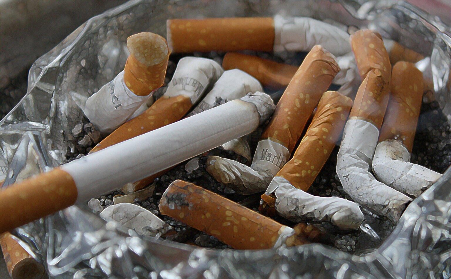 Zigarettenfilter tun nichts für die Gesundheit der Raucher und schaffen nur Plastikverschmutzung. Über 70 Jahre nach der Einführung wissen wir, dass Filter den Schaden nicht reduzieren. Tatsächlich können sie einige Risiken verschärfen. Zigarettenfilter tun nichts für die Gesundheit der Raucher und schaffen nur Plastikverschmutzung. Über 70 Jahre nach der Einführung wissen wir, dass Filter den Schaden nicht reduzieren. Tatsächlich können sie einige Risiken verschärfen.