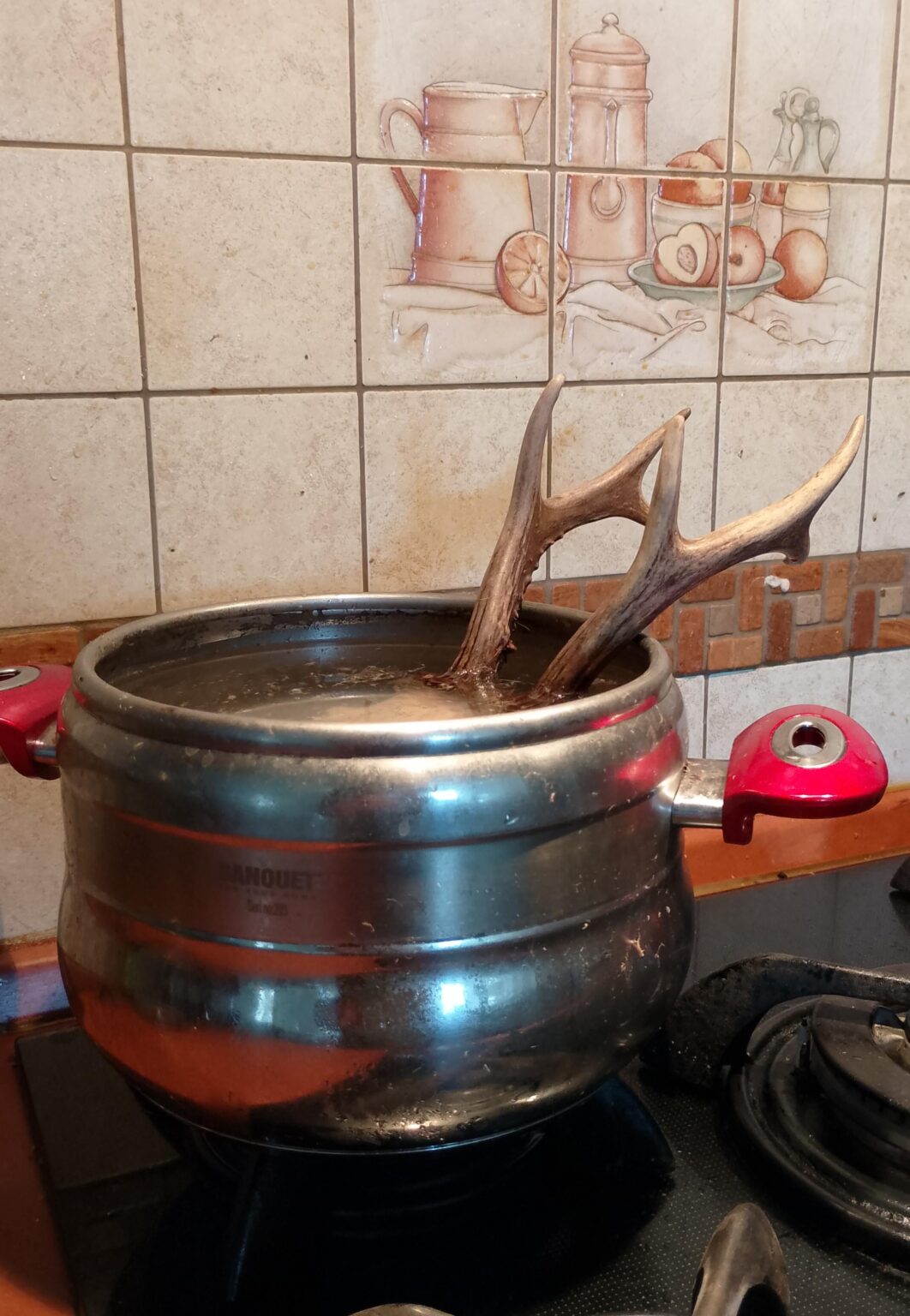 Wie lange ziehst du schon die Brühe? Allmählich koche ich es vom Morgen und es geht nicht die ganze Zeit vom Knochen.