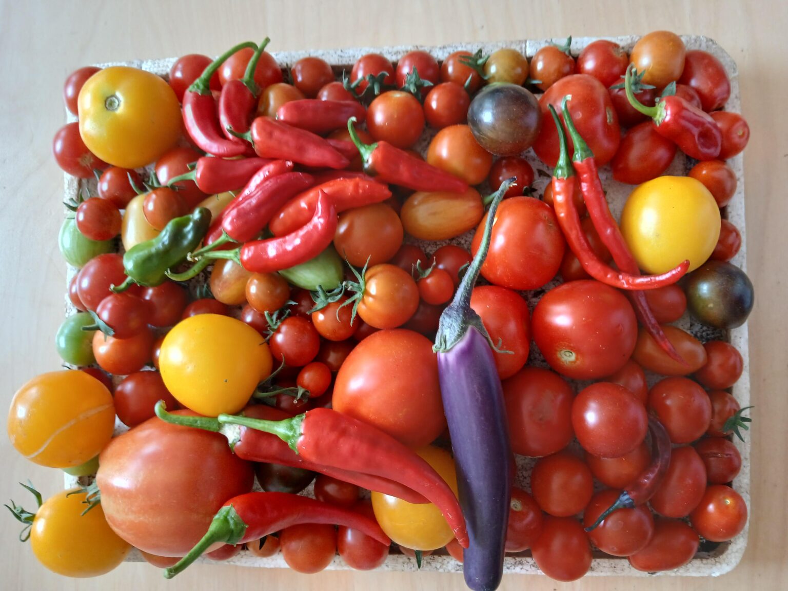 Was ist euer Lieblingsrezept aus den überfälligen Tomaten?