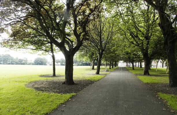 Unbeaufsichtigter Teenager, der beschuldigt wurde, sechs Mal im Dublin Park erstochen zu werden