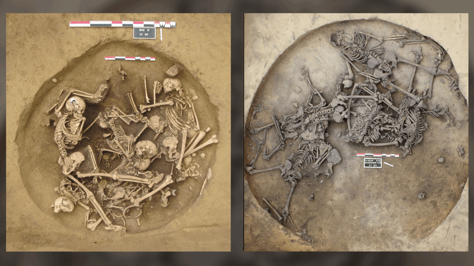 Vor 6.300 Jahren wurden Dutzende von Menschen in grausigen Siegfeierlichkeiten in Frankreich ermordet.