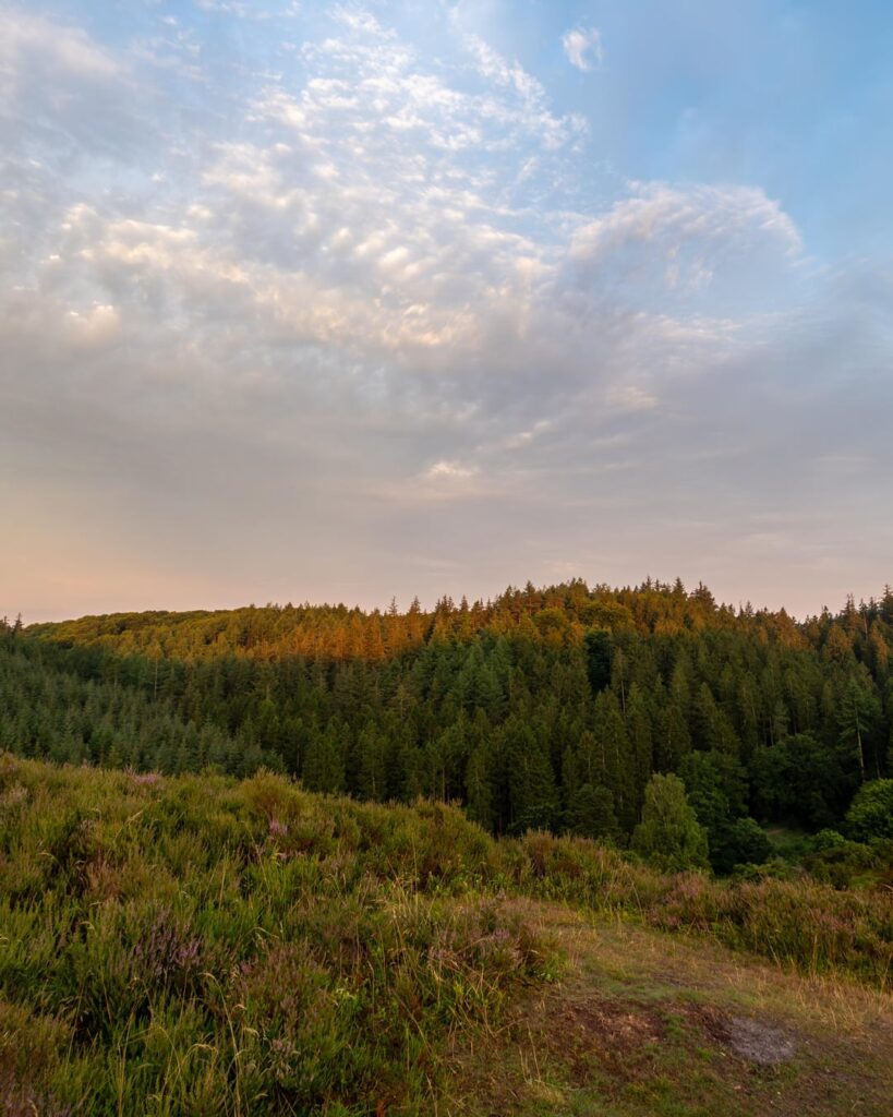 Anwanderung am frühen Morgen