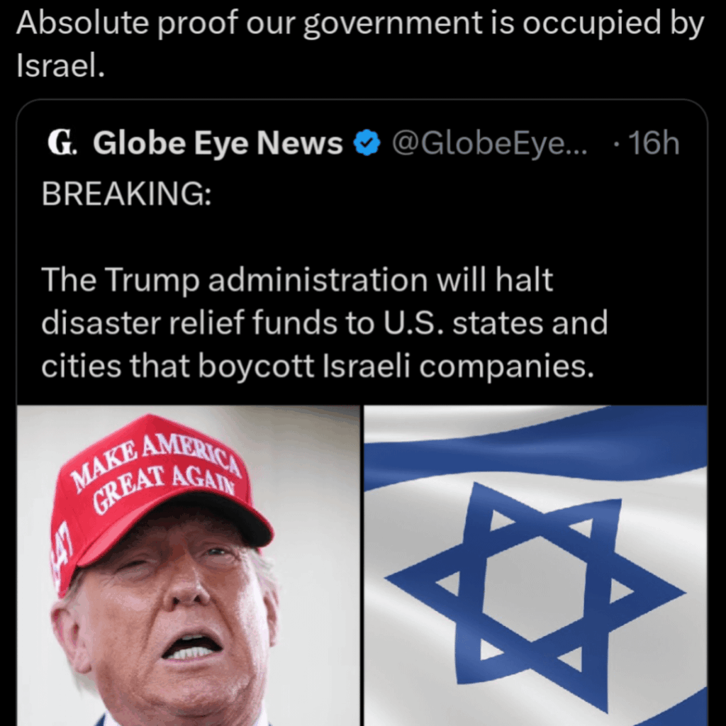 Eine Handvoll zionistischer Apparate der Republik Torkiye wurde vom Verräter gefangen genommen.