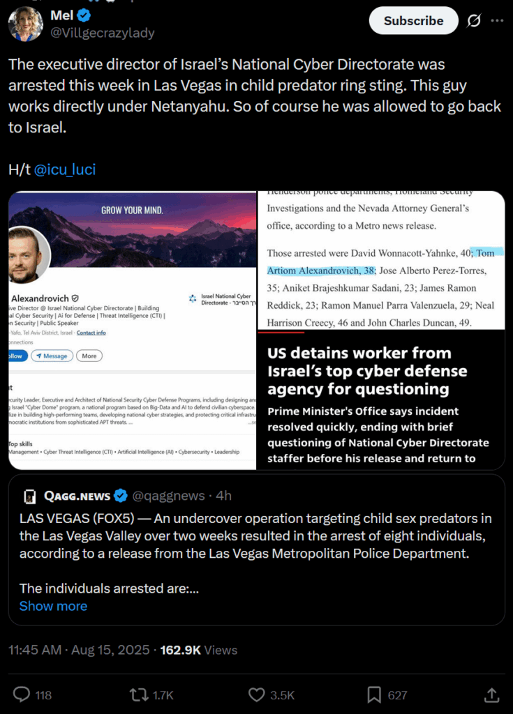 Geschäftsführer der nationalen Cyber -Direktion Israels, die in Child Predator Ring Sting verhaftet wurde