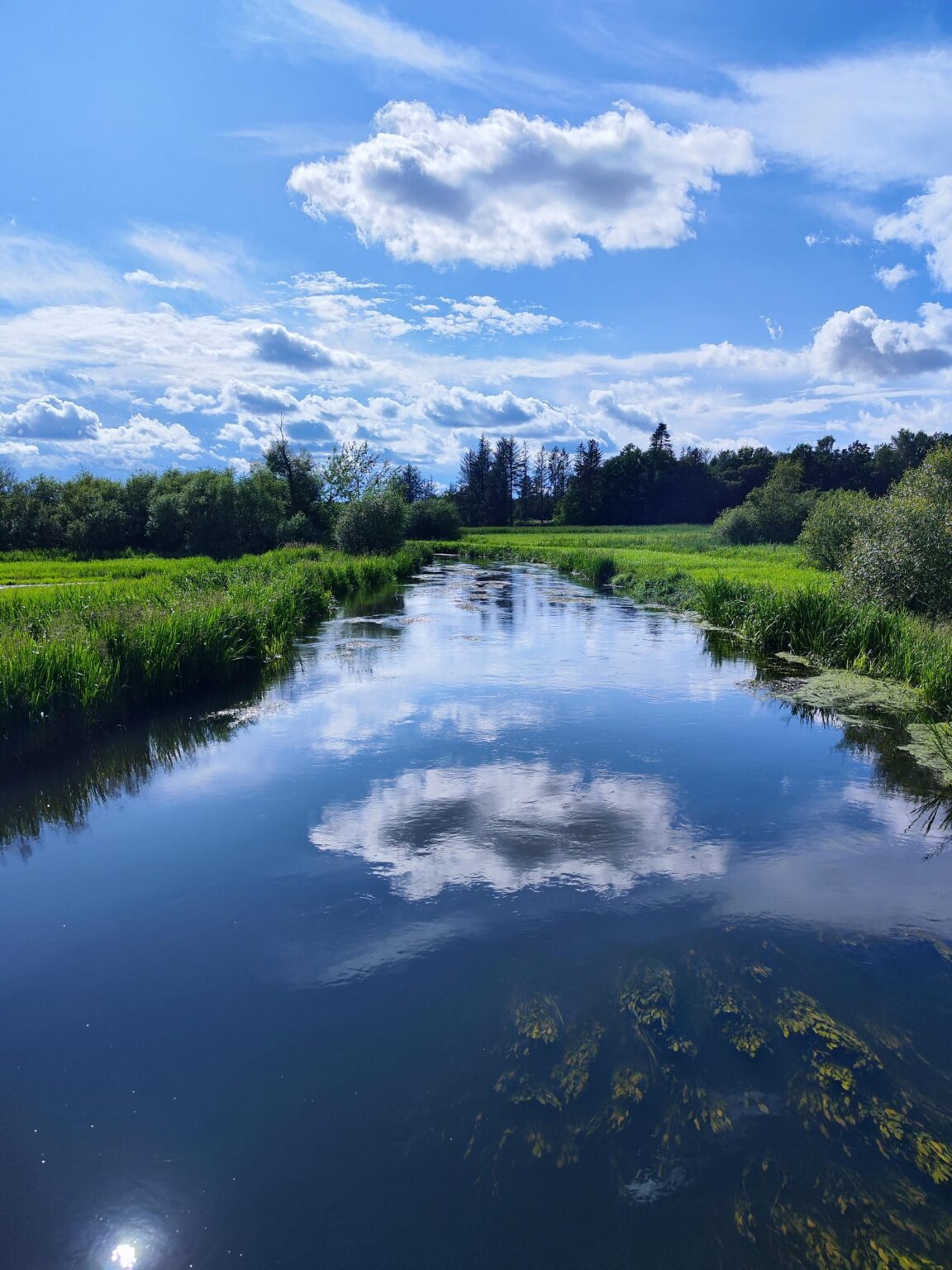 Der schöne Fluss Gudenåen in Dänemark