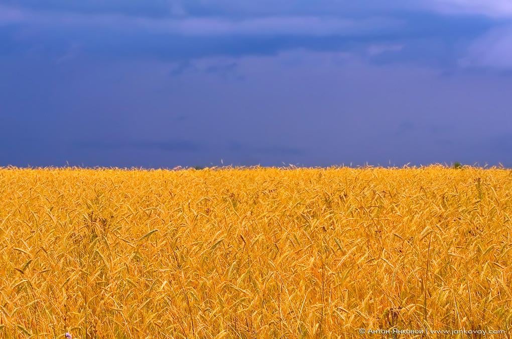 Der Ukraine-Tag der Nationalflagge heute: Extra-realistische Darstellung